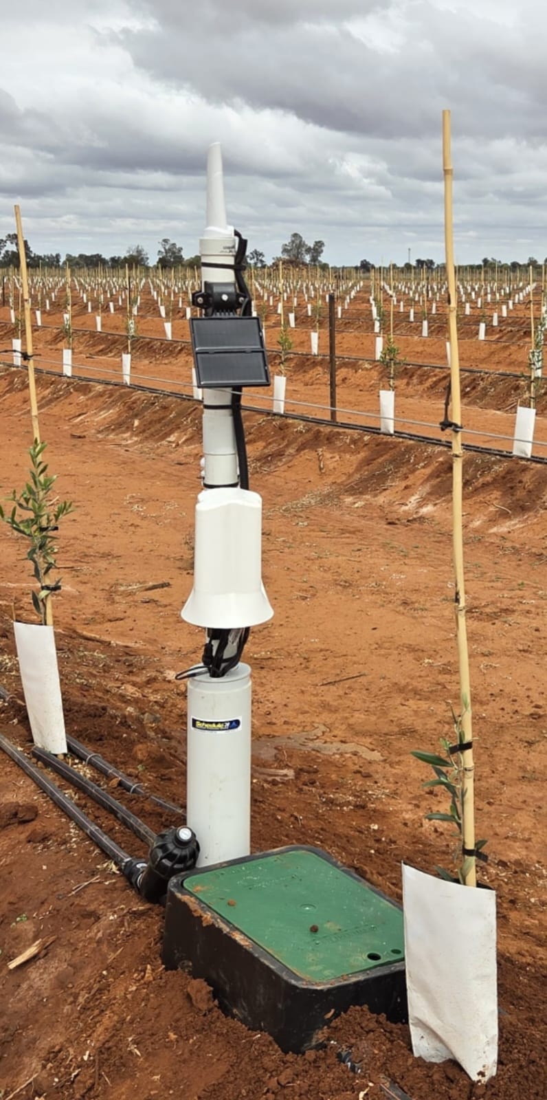 Inline EC Sensor